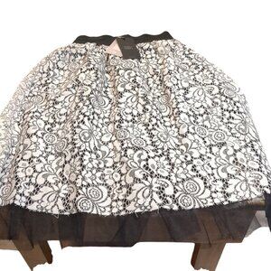 Woman's New with Tags Senza Tempo Made in Italy A lIne Shear Skirt with lining